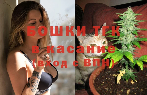 индика Абаза